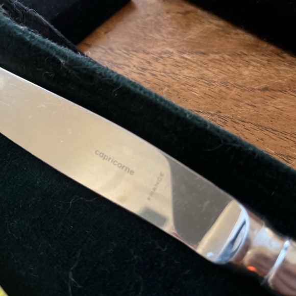 Set of five Capricorne of France stainless knives. $150 - Picture 2 of 3